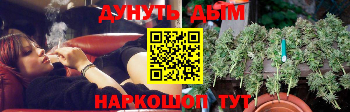 Бошки Шишки конопля Астрахань